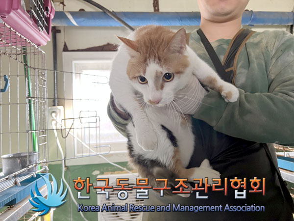 한국동물구조관리협회_441409202301940